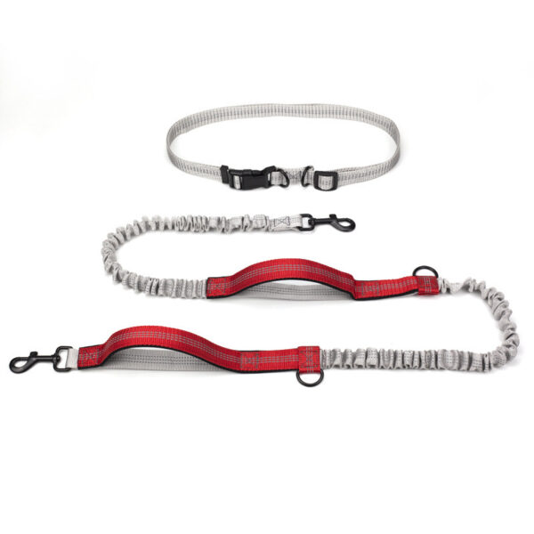 Pet Supplies Outdoor Running Dog Leash - Image 3